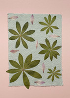 Darker Pink Cards