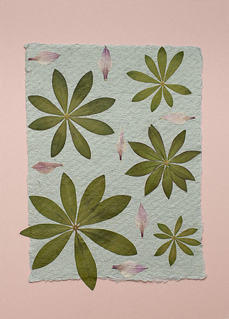 10. card