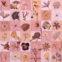 Floral Squares Pink