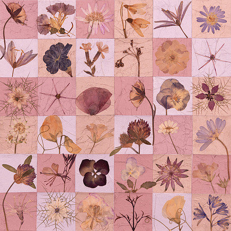 Floral Squares Pink