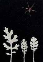3. black christmas card