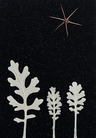3. black christmas card