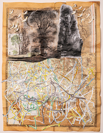 Rebecca Barnett. Roots. W.25.H35cm