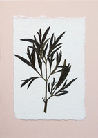 4. card