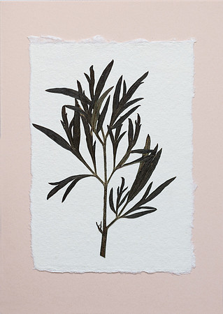 4. card