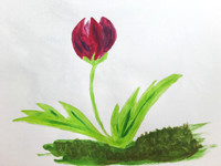 Sue Stevenson. Red-Purple. W.27. H.20cm