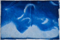 Sophie H. The Blue Mountains
