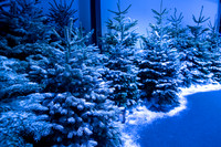 Christmas at Tobacco Dock