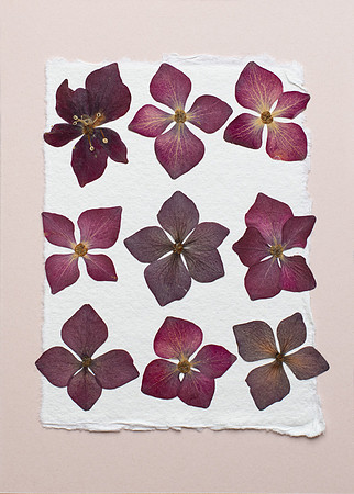 9. card
