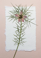 2. card