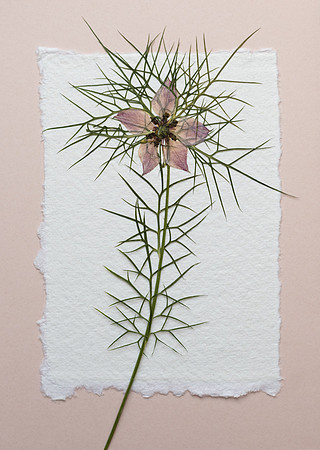 2. card