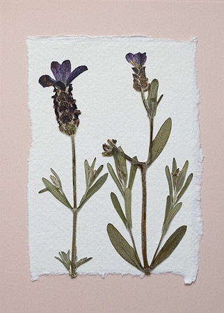 3. card