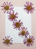 6. card