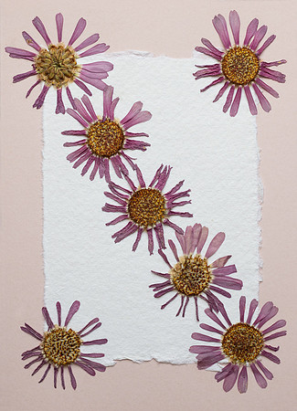 6. card