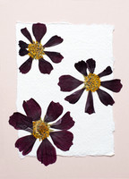8. card