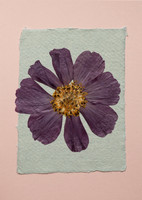 13. card