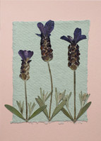 11. card