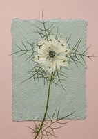 14. card