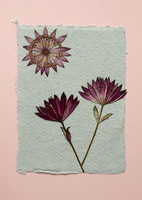 12. card