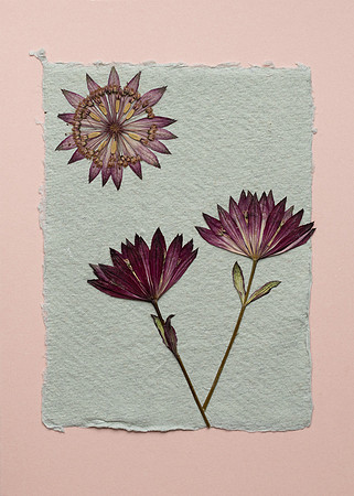 12. card