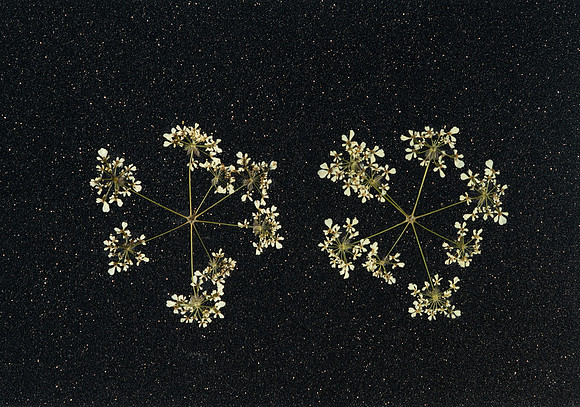2. black christmas card