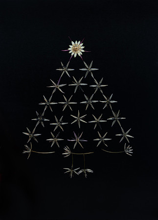 Alumi Christmas Tree